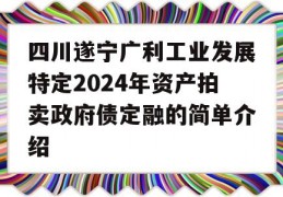 四川遂宁广利工业发展特定2024年资产拍卖政府债定融的简单介绍