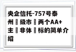 央企信托-757号泰州‮级市‬两个AA+主‮非体‬标的简单介绍