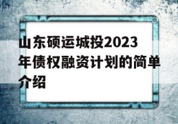 山东硕运城投2023年债权融资计划的简单介绍