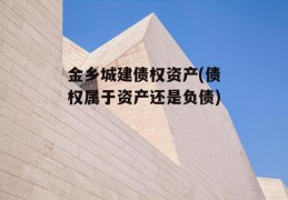 金乡城建债权资产(债权属于资产还是负债)