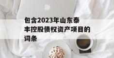 包含2023年山东泰丰控股债权资产项目的词条