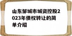 山东邹城市城资控股2023年债权转让的简单介绍