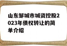 山东邹城市城资控股2023年债权转让的简单介绍