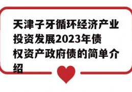 天津子牙循环经济产业投资发展2023年债权资产政府债的简单介绍