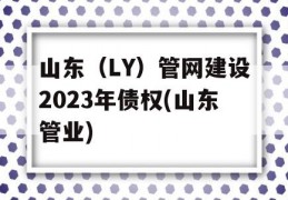 山东（LY）管网建设2023年债权(山东管业)