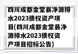 四川成都金堂县净源排水2023债权资产项目(四川成都金堂县净源排水2023债权资产项目招标公告)