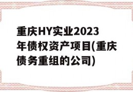 重庆HY实业2023年债权资产项目(重庆债务重组的公司)