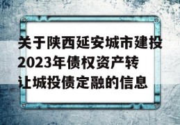 关于陕西延安城市建投2023年债权资产转让城投债定融的信息