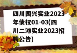 四川国兴实业2023年债权01-03(四川二滩实业2023招聘公告)