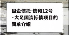 国企信托-信和12号·大足国资标债项目的简单介绍