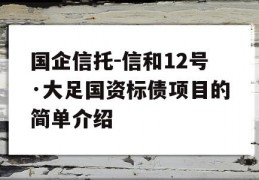 国企信托-信和12号·大足国资标债项目的简单介绍