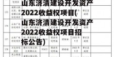 山东济清建设开发资产2022收益权项目(山东济清建设开发资产2022收益权项目招标公告)