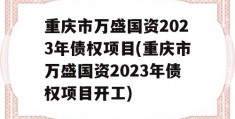 重庆市万盛国资2023年债权项目(重庆市万盛国资2023年债权项目开工)