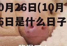 10月26日(10月26日是什么日子?)