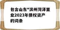 包含山东*滨州菏泽置业2023年债权资产的词条