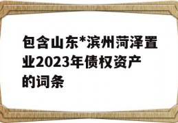 包含山东*滨州菏泽置业2023年债权资产的词条