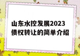 山东水控发展2023债权转让的简单介绍