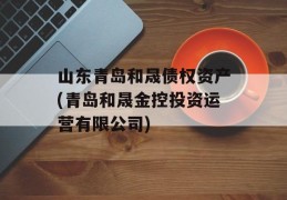 山东青岛和晟债权资产(青岛和晟金控投资运营有限公司)