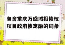 包含重庆万盛城投债权项目政府债定融的词条