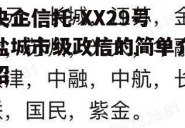 央企信托-XX29号盐城市级政信的简单介绍