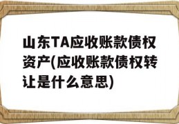 山东TA应收账款债权资产(应收账款债权转让是什么意思)