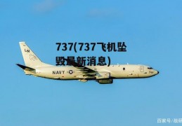 737(737飞机坠毁最新消息)