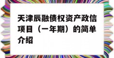 天津辰融债权资产政信项目（一年期）的简单介绍