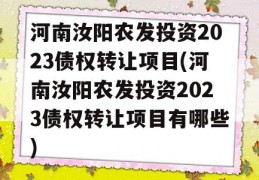 河南汝阳农发投资2023债权转让项目(河南汝阳农发投资2023债权转让项目有哪些)