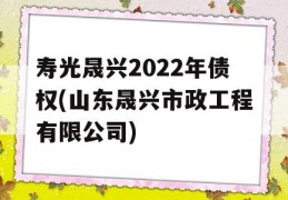 寿光晟兴2022年债权(山东晟兴市政工程有限公司)