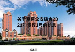 关于高唐众安综合2022年债权1号的信息