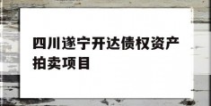 四川遂宁开达债权资产拍卖项目