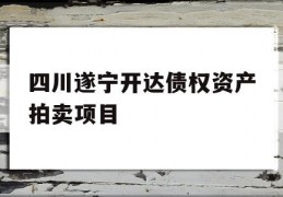 四川遂宁开达债权资产拍卖项目