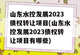 山东水控发展2023债权转让项目(山东水控发展2023债权转让项目有哪些)