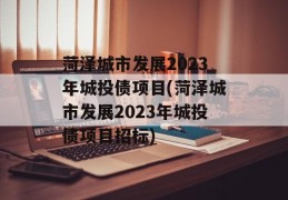 菏泽城市发展2023年城投债项目(菏泽城市发展2023年城投债项目招标)