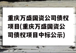 重庆万盛国资公司债权项目(重庆万盛国资公司债权项目中标公示)