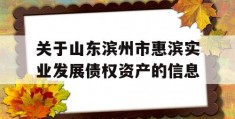 关于山东滨州市惠滨实业发展债权资产的信息