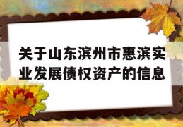 关于山东滨州市惠滨实业发展债权资产的信息