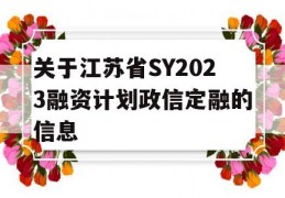 关于江苏省SY2023融资计划政信定融的信息