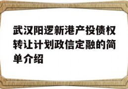 武汉阳逻新港产投债权转让计划政信定融的简单介绍