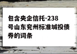 包含央企信托-238号山东兖州标准城投债券的词条