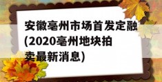 安徽亳州市场首发定融(2020亳州地块拍卖最新消息)