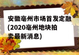 安徽亳州市场首发定融(2020亳州地块拍卖最新消息)