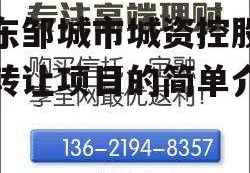 山东邹城市城资控股债权转让项目的简单介绍