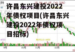 许昌东兴建投2022年债权项目(许昌东兴建投2022年债权项目招标)