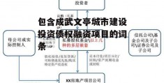 包含成武文亭城市建设投资债权融资项目的词条