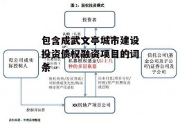 包含成武文亭城市建设投资债权融资项目的词条