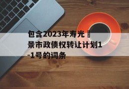 包含2023年寿光昇景市政债权转让计划1-1号的词条