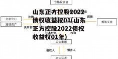 山东正方控股2022债权收益权01(山东正方控股2022债权收益权01年)