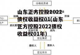 山东正方控股2022债权收益权01(山东正方控股2022债权收益权01年)