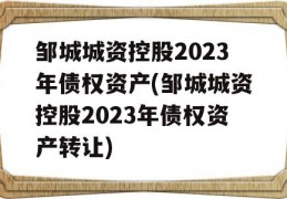 邹城城资控股2023年债权资产(邹城城资控股2023年债权资产转让)